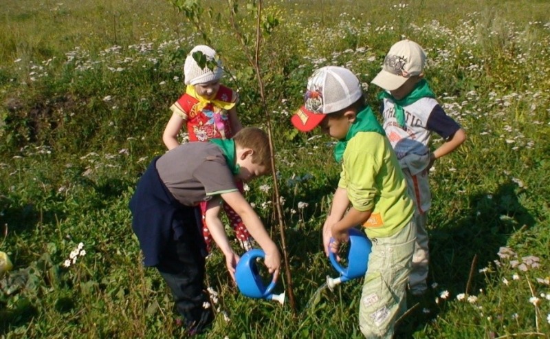 Как научить ребёнка заботиться об экологии