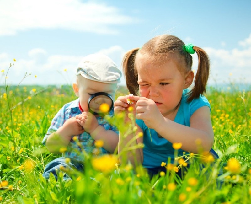 Як навчити дитину піклуватися про екологію